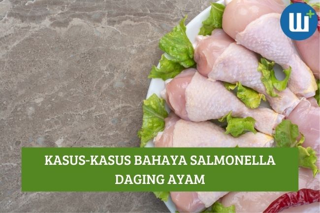 Berikut Kasus-Kasus Bahaya Salmonella Daging Ayam